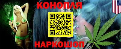 прущие грибы Краснознаменск