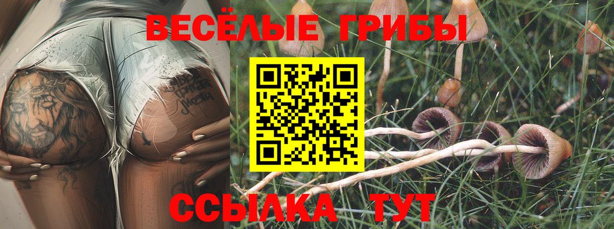 Галлюциногенные грибы мицелий  Вход с VPN  Шарыпово 